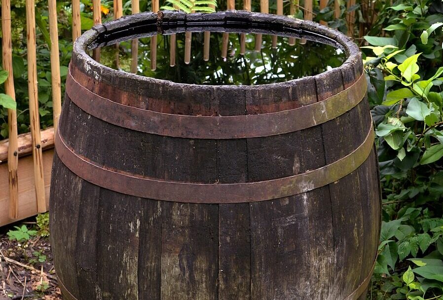 Waterbehoud in de tuin: Slimme technieken om water te besparen