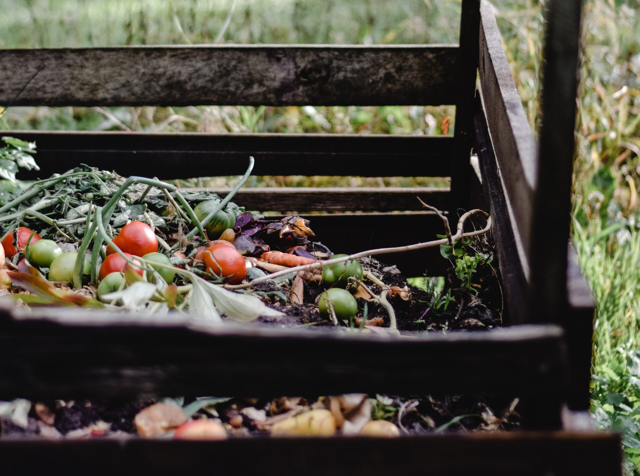 Compost: Het geheim van groene tuinmagie!
