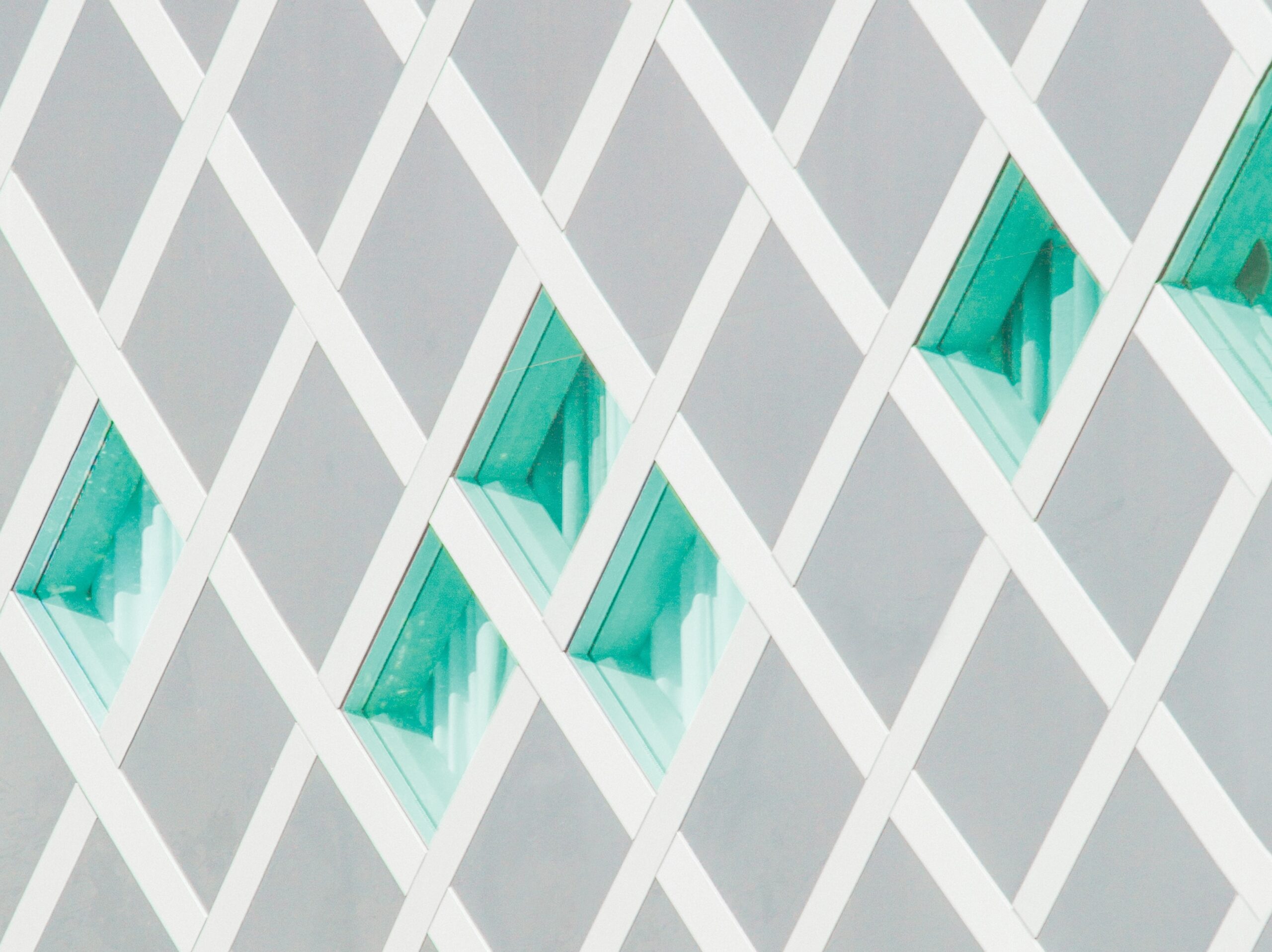 Tuinieren met geometrie: Wiskunde als geheim ingrediënt