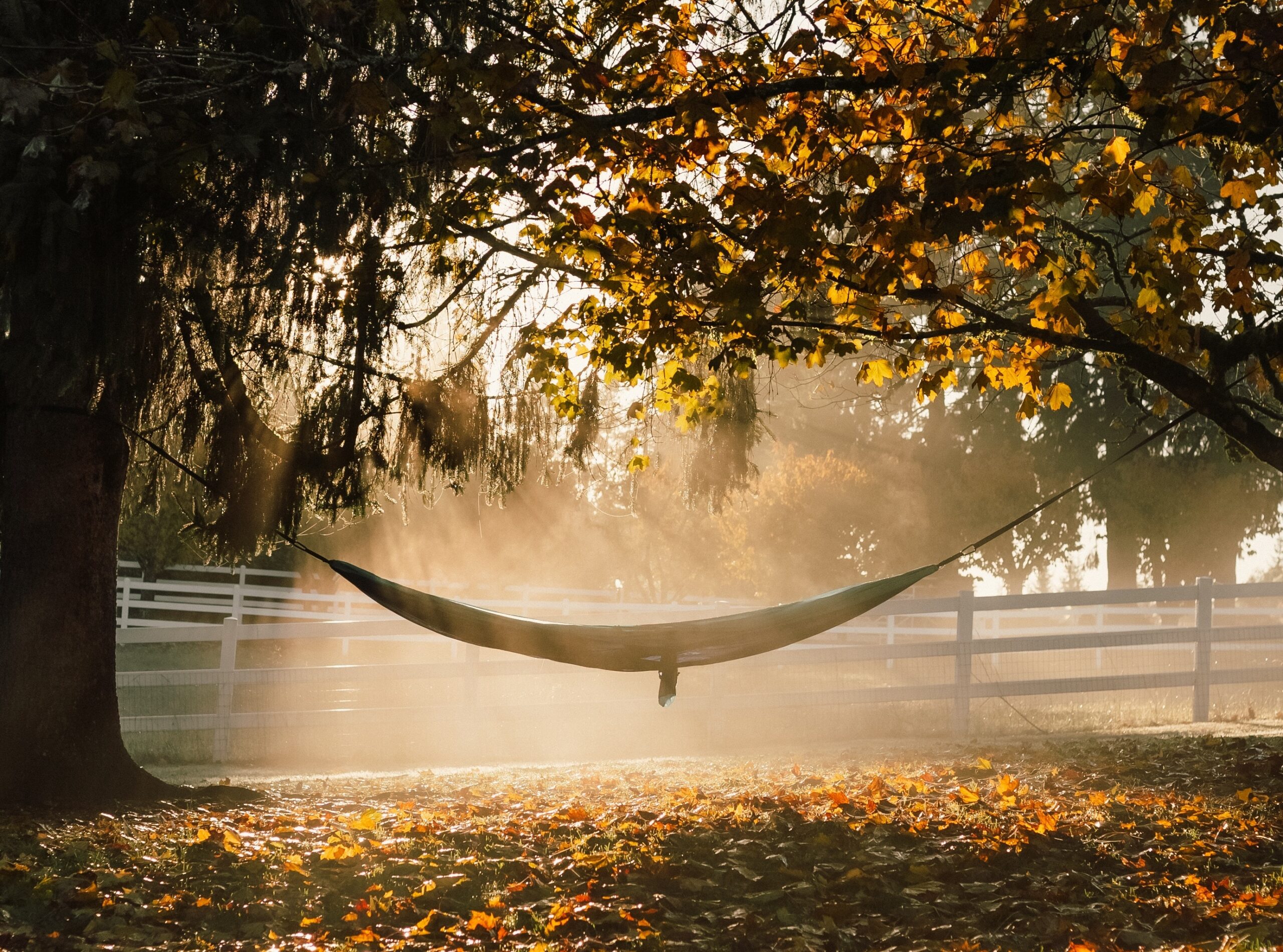 20 Nazomer tuintips: Een tuin vol kleur en energie