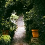 Tuinaanleg of tuinrenovatie Zo maak je de juiste keuzes vanaf het begin