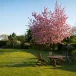 Wat zijn slimme keuzes voor een toekomstbestendige tuin