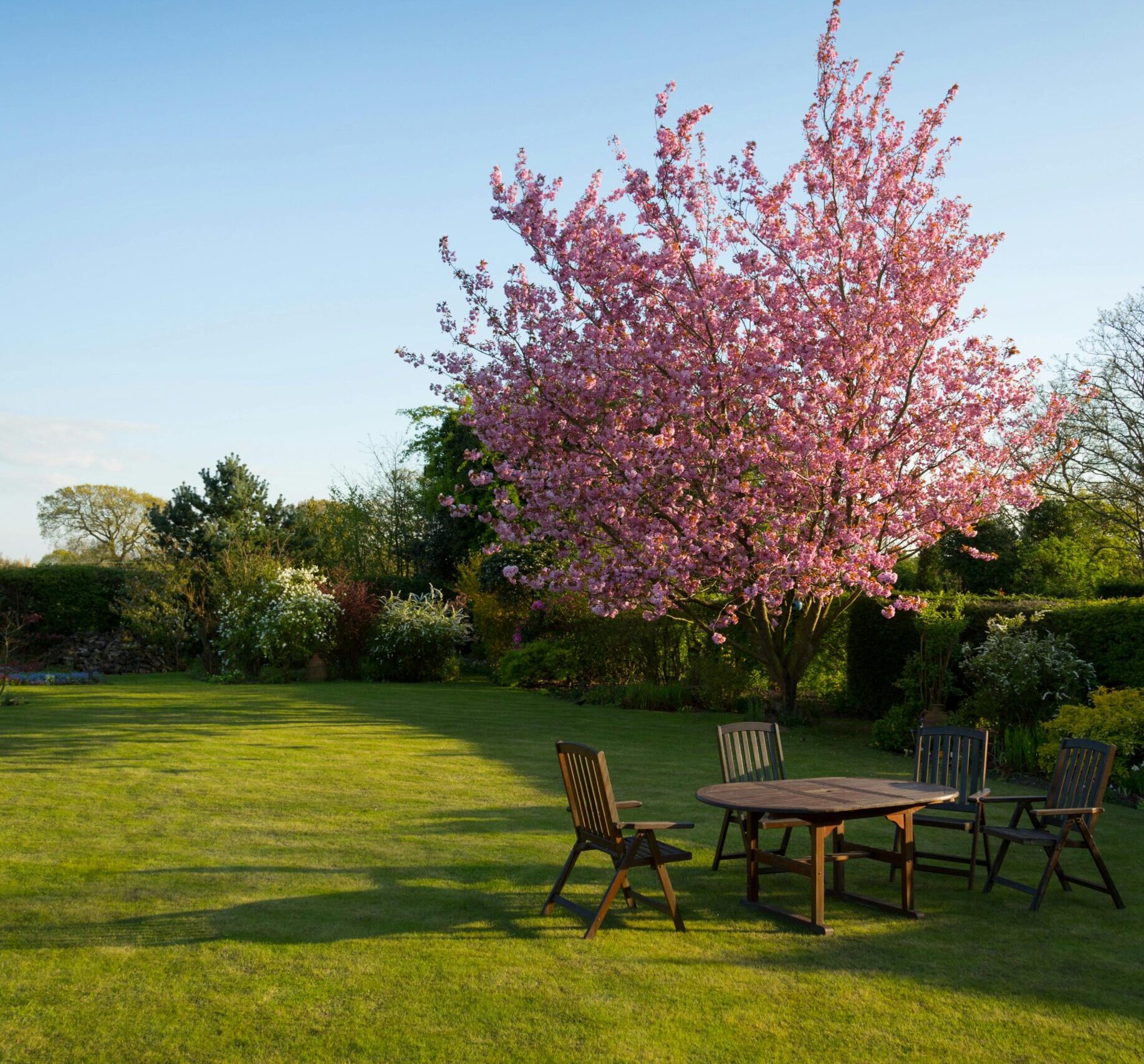 Wat zijn slimme keuzes voor een toekomstbestendige tuin?